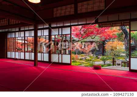 秋天的舊林家宅邸和庭園（愛知縣一宮市） 109427130