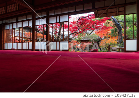 秋天的舊林家宅邸和庭園（愛知縣一宮市） 109427132