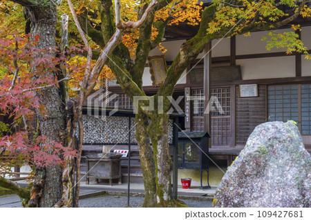 南禪寺分院 秋天 西松院高德庵正堂 南禪寺分院 秋天 西松院高德庵正堂 109427681