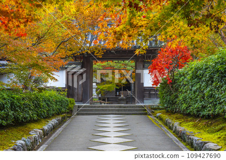 南禪寺分院，秋天的西勝院高德庵，參道被秋葉覆蓋 109427690