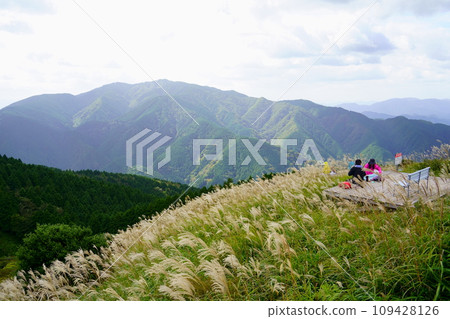 Japanese pampas grass in Katsuragi Plateau (Gose City, Nara Prefecture) 109428126