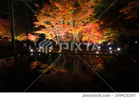 櫪木公園秋葉 櫪木公園秋葉 109428267
