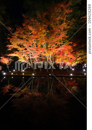 櫪木公園秋葉 櫪木公園秋葉 109428269