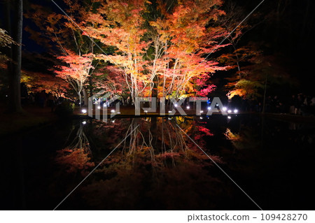櫪木公園秋葉 櫪木公園秋葉 109428270