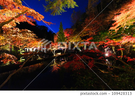 櫪木公園秋葉 櫪木公園秋葉 109428313