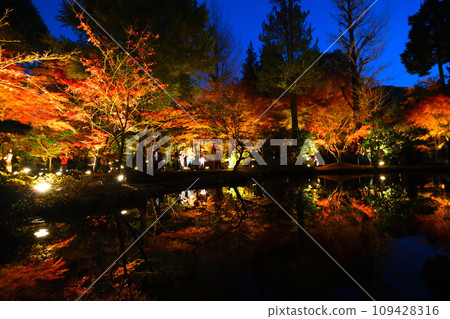 櫪木公園秋葉 櫪木公園秋葉 109428316