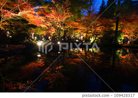 櫪木公園秋葉 櫪木公園秋葉 109428317