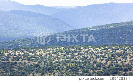 Rural Rugged Aloe Vegetation Scenic Landscape 109428324