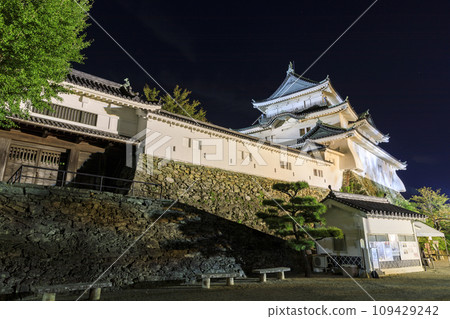 和歌山縣和歌山市和歌山城的夜景 109429242
