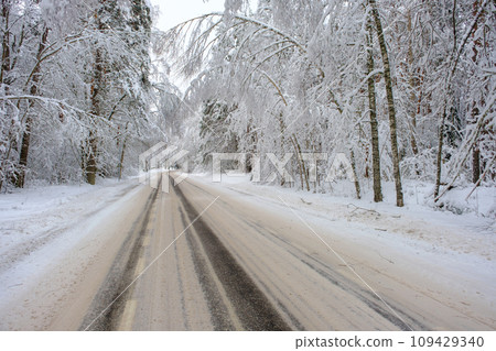 Beautiful landscape with a road in Estonia and coniferous forest on a snowy winter day. 109429340