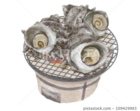 Watercolor turban shell 01_5 Watercolor turban shell 01_5 109429983