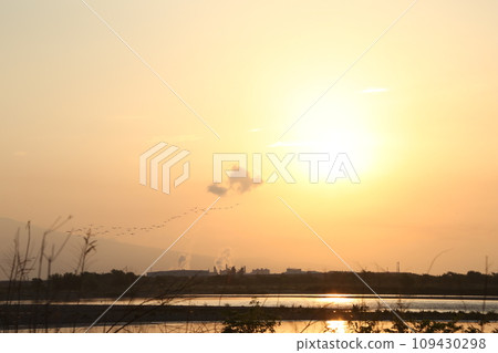 A flock of birds crossing the river in the morning sun A flock of birds crossing the river in the morning sun 109430298