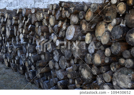 Sawn logs laid against the wall. Firewood for kindling. Sawn pine wood. Sawn logs laid against the wall. Firewood for kindling. Sawn pine wood. 109430652