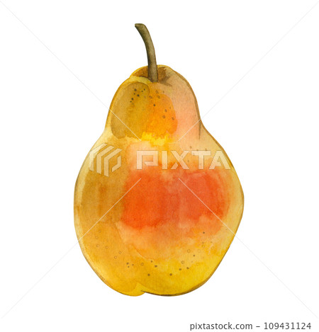 Watercolor illustration. A yellow juicy pear with a red side painted in watercolor on a white background. Suitable for printing on fabric and paper, for kitchens, tableware and textile design 109431124