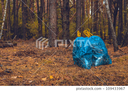 Copy space. Bags of collected garbage stand in the autumn forest, ready to be sent for recycling. Saving the planet from garbage. Environmentalists, eco activism. 109433967