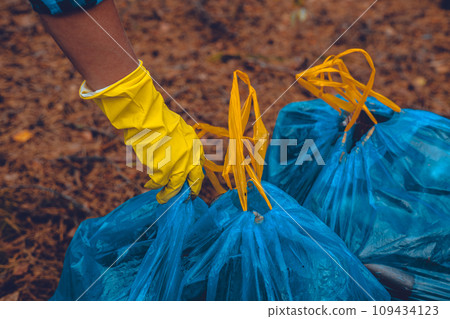 After clearing the forest of garbage, a volunteer woman puts the bags together to take them away for recycling. Environmental problem of forest pollution by garbage. Cleaning up trash in the forest. After clearing the forest of garbage, a volunteer woman puts the bags together to take them away for recycling. Environmental problem of forest pollution by garbage. Cleaning up trash in the forest. 109434123