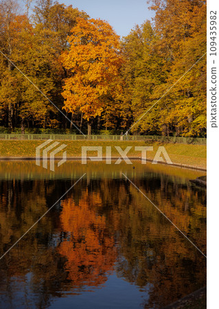 early autumn in city park or garden, green and yellow trees are reflected in lake or pond early autumn in city park or garden, green and yellow trees are reflected in lake or pond 109435982