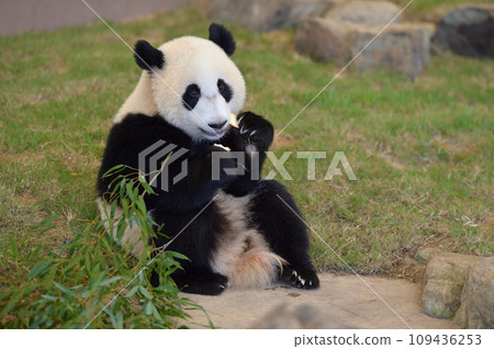 湯濱鮮美地吃點心 湯濱鮮美地吃點心 109436253