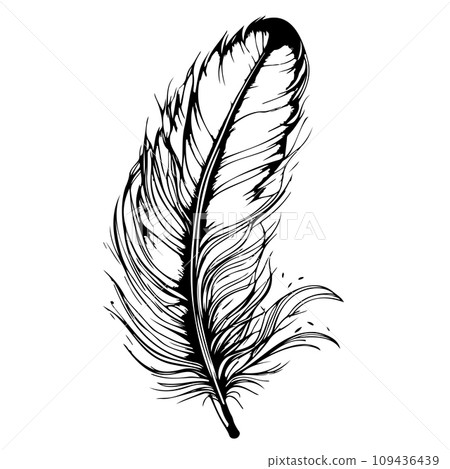Black and white bird feather hand drawn vector illustration. 109436439
