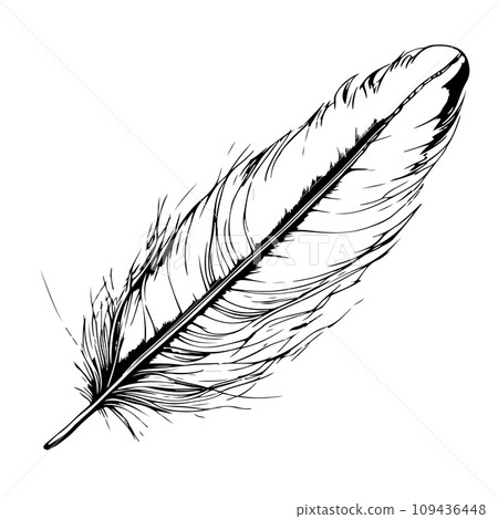 Black and white bird feather hand drawn vector illustration. 109436448