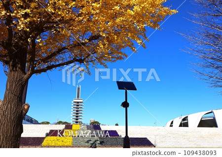 Autumn scenery of Komazawa Olympic Park with yellow leaves 109438093