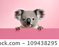 AI-generated content. Funny koala isolated on light pink background. Concept of funny animals from zoo or safari. Banner with koala and copy space. 109438295