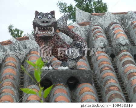 Landscape with Shisa 109438319