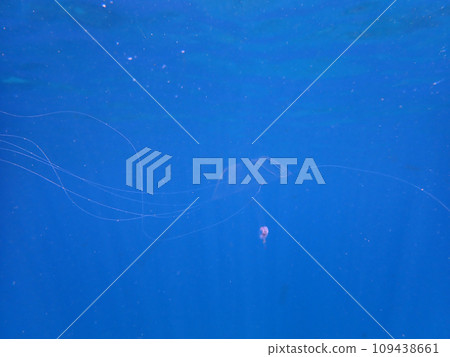 漂流 漂流 109438661