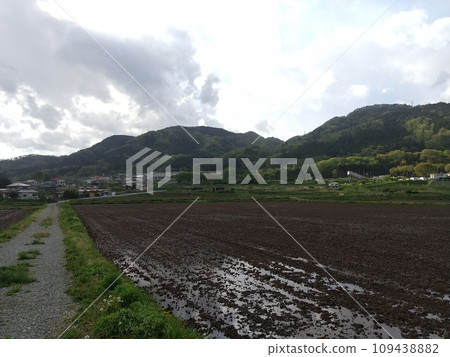 Paddy fields, Shiroishi City, Miyagi Prefecture Paddy fields, Shiroishi City, Miyagi Prefecture 109438882