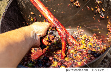 grapes squeezed by hand 109439498