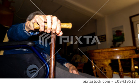 elderly woman in wheelchair 109439518