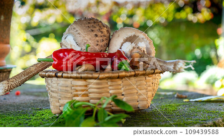 basket with peppers and various kinds of mushrooms basket with peppers and various kinds of mushrooms 109439588