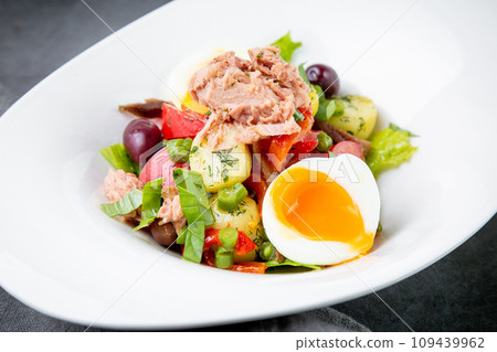 salad with soft-boiled egg, tuna, green onions, boiled potatoes, side view 109439962
