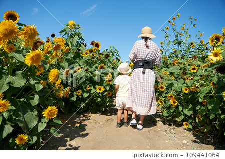 母親和孩子走過美麗的向日葵田的後視圖 109441064
