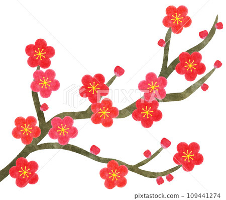Stylish watercolor illustration of red plum (Hibai) branches - material for New Year's cards 109441274