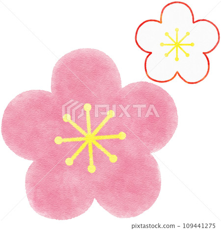 Simple watercolor illustration of pink plum (red plum) flower material for New Year's cards Simple watercolor illustration of pink plum (red plum) flower material for New Year's cards 109441275