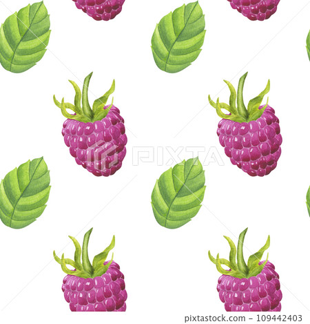 Seamless pattern pink raspberry, sweet berry with green leaves. Botanical food clipart. Hand drawn watercolor illustration isolated on white background. Printing on fabric, paper packaging 109442403