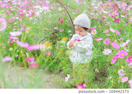Infants playing surrounded by cosmos 109442573