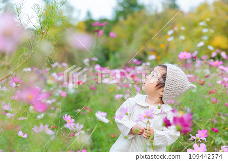 Infants playing surrounded by cosmos 109442574