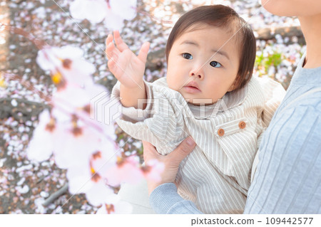 嬰兒在櫻花公園玩耍 109442577