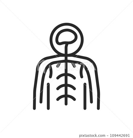 Autonomic Nervous System Icon. Thin Linear Illustration of Internal Neurological Network, Symbolizing Body Regulation and Involuntary Functions. Isolated Outline Vector Sign. Autonomic Nervous System Icon. Thin Linear Illustration of Internal Neurological Network, Symbolizing Body Regulation and Involuntary Functions. Isolated Outline Vector Sign. 109442691