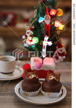 raccoon cake 109443116