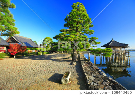 [Shiga Prefecture] Clear skies at Ukimido (Mangetsuji Temple) 109443490