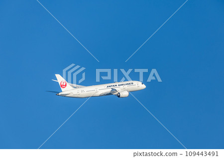 客機/飛機/日本航空波音 787 從羽田機場起飛 109443491