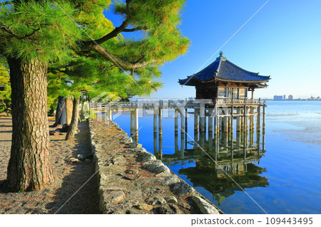 [Shiga Prefecture] Clear skies at Ukimido (Mangetsuji Temple) 109443495