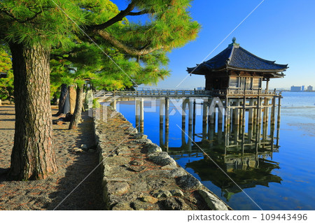 [Shiga Prefecture] Clear skies at Ukimido (Mangetsuji Temple) 109443496