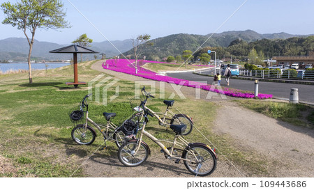 Spring cycling image (around Togo Pond) Spring cycling image (around Togo Pond) 109443686