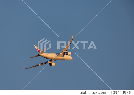 Passenger aircraft, JAL, Airbus, A350 that took off from Haneda Airport 109443986