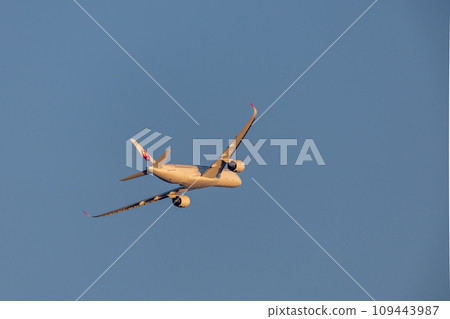 Passenger aircraft, JAL, Airbus, A350 that took off from Haneda Airport 109443987