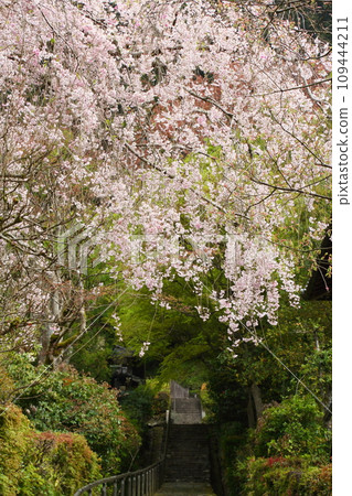 Ohara Seiryo approach road Ohara Seiryo approach road 109444211